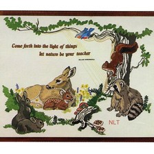 LET NATURE Be Your TEACHER Kit de Bordado Crewel Vintage Floresta Animais da Floresta, usado comprar usado  Enviando para Brazil