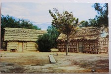 Texas chozas huts d'occasion  Expédié en Belgium