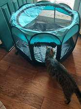 Rarasy blue portable for sale  Goodlettsville