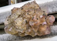 Top fluorit stufe gebraucht kaufen  Zwönitz