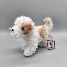Douglas maltipoo jolly for sale  Brownstown