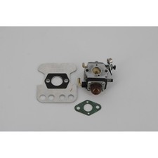 Carburateur taille haie d'occasion Carburateur taille haie d'occasion  Auxonne