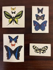 Set vintage butterfly for sale  Hyde Park