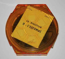 Film institut pédagogique d'occasion  Leucate