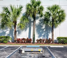 Opacmare 01172491 triple for sale  Fort Lauderdale