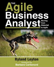 Agile business analyst for sale  UK