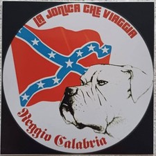Adesivo reggina. usato  Porto Cesareo