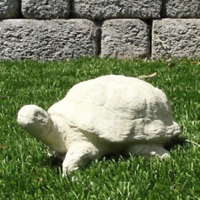 Vintage desert tortoise for sale  Ramona