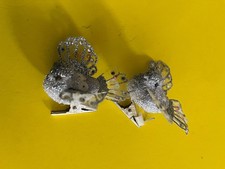 Christbaumschmuck vogel stück gebraucht kaufen  Rottenburg am Neckar