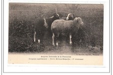 Vesailles troupeau experimenta d'occasion  France