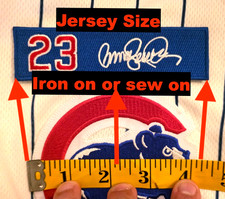 Ryne sandberg memorial for sale  Houston