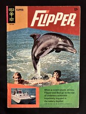 flipper d'occasion  Expédié en Belgium