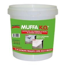 Muffa tecnostuk antimuffa usato  Sarno