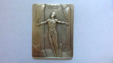 Plaque bronze paris d'occasion  Bassillac