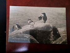 Vintage postcard puffins for sale  KINGSWINFORD