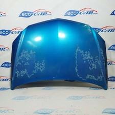 Cofano anteriore blu usato  Acerra