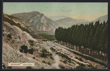 Mendoza potrevilios cartolina usato  Spedire a Italy
