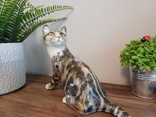 Beautiful winstanley tabby for sale  WELLINGBOROUGH