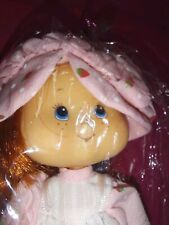 1991 strawberry shortcake for sale  LEICESTER