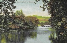 Postcard mole dorking for sale  DEAL