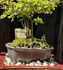 tables potting planting for sale  Brentwood