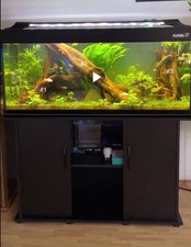 Aquariumwurzel mangroven wurze gebraucht kaufen  Passau