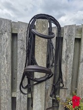 Havana brown double for sale  BARNSLEY