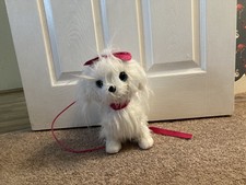 Puppy poodle dog for sale Puppy poodle dog for sale  SOLIHULL