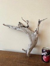 Driftwood piece best for sale  UK