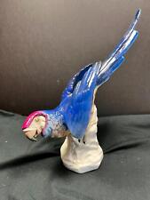 macaw parrot for sale  Shipping to Ireland