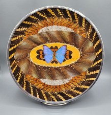 butterfly collector art for sale butterfly collector art for sale Sun City West