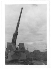 Riginalfoto tarnstrich erdkamp gebraucht kaufen  Hanau