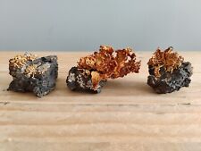 igneous rocks for sale  CLEVEDON