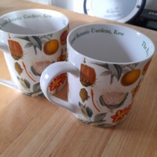 Two royal botanic for sale  AYLESBURY