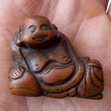 japanese boxwood for sale japanese boxwood for sale WEST MALLING