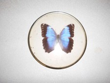 Alte vintage morpho gebraucht kaufen  Wollmatingen
