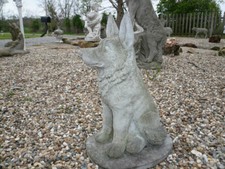 Magnificent old weathered for sale  Carmi