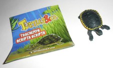 Turtles trachemys scripta gebraucht kaufen  Deutschland