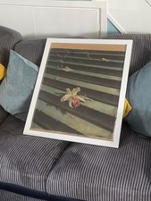 Vladimir tretchikoff orchid for sale  BURY