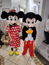 Mickey mouse fancy for sale Mickey mouse fancy for sale  COOKSTOWN