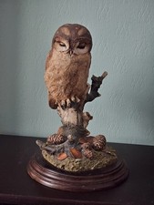 country artist owl for sale  HIGH PEAK