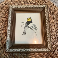 Vintage bird framed for sale  Copperas Cove