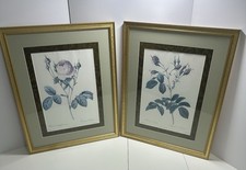 Redoute botanical prints for sale  Hawkins