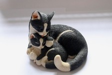 Sherratt simpson cats for sale  DARLINGTON