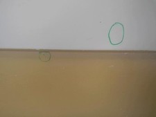 Porte coffre gauche d'occasion  Cléguer
