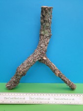 Cork bark branch for sale  VENTNOR