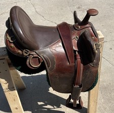 Australian stock poley for sale  New Smyrna Beach