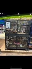 rattenkafig gebraucht kaufen rattenkafig gebraucht kaufen Planegg