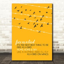 Free bird birds for sale  UK