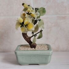 Leonardo collection bonsai for sale  KETTERING